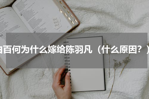 白百何为什么嫁给陈羽凡（什么原因？）