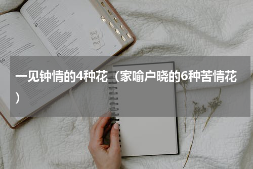 一见钟情的4种花（家喻户晓的6种苦情花）