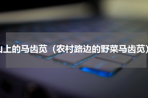 山上的马齿苋（农村路边的野菜马齿苋）