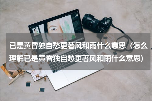 已是黄昏独自愁更著风和雨什么意思（怎么理解已是黄昏独自愁更著风和雨什么意思）