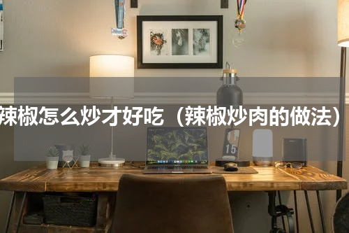 辣椒怎么炒才好吃（辣椒炒肉的做法）