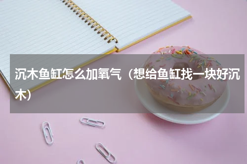 沉木鱼缸怎么加氧气（想给鱼缸找一块好沉木）