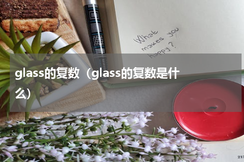 glass的复数（glass的复数是什么）
