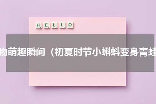 动物萌趣瞬间（初夏时节小蝌蚪变身青蛙）