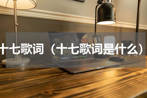十七歌词（十七歌词是什么）