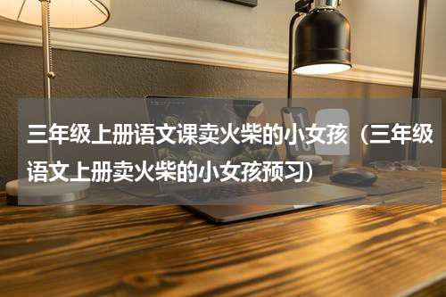 三年级上册语文课卖火柴的小女孩（三年级语文上册卖火柴的小女孩预习）