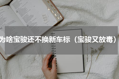为啥宝骏还不换新车标（宝骏又放毒）