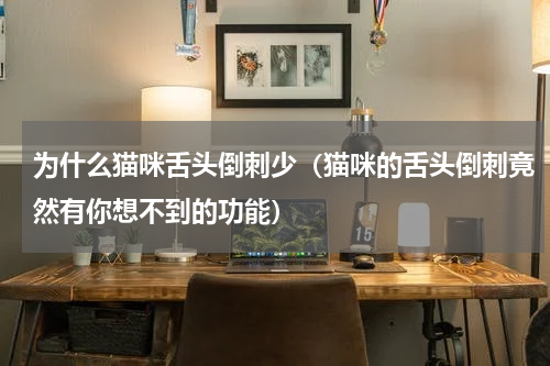 为什么猫咪舌头倒刺少（猫咪的舌头倒刺竟然有你想不到的功能）