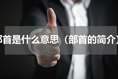 部首是什么意思（部首的简介）