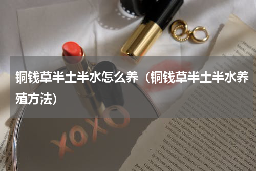 铜钱草半土半水怎么养（铜钱草半土半水养殖方法）