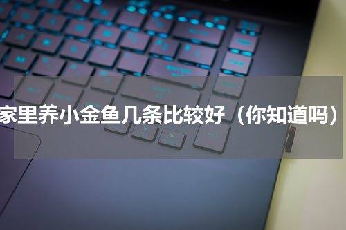 家里养小金鱼几条比较好（你知道吗）