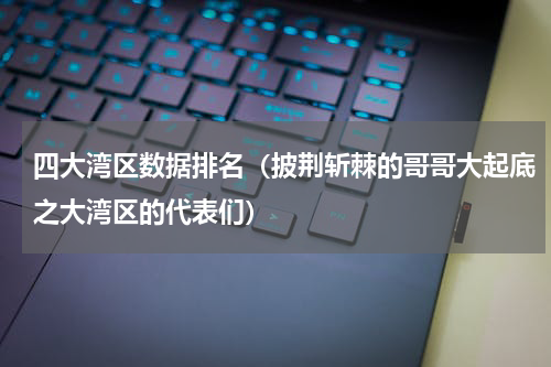 四大湾区数据排名（披荆斩棘的哥哥大起底之大湾区的代表们）