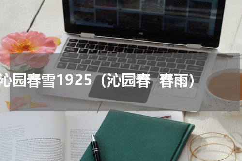 沁园春雪1925（沁园春  春雨）
