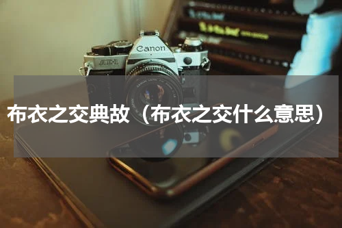 布衣之交典故（布衣之交什么意思）