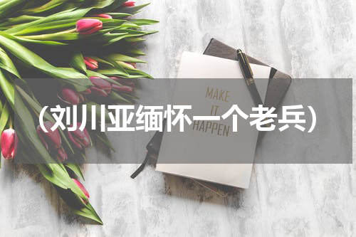 （刘川亚缅怀一个老兵）