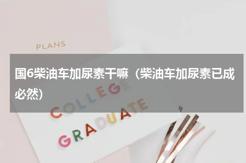 国6柴油车加尿素干嘛（柴油车加尿素已成必然）