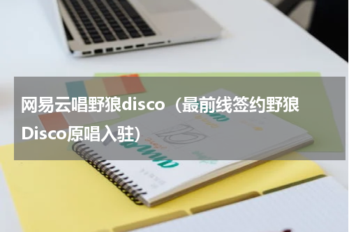 网易云唱野狼disco（最前线签约野狼Disco原唱入驻）