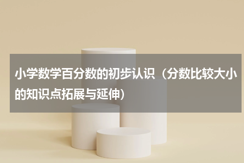 小学数学百分数的初步认识（分数比较大小的知识点拓展与延伸）