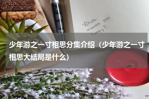 少年游之一寸相思分集介绍（少年游之一寸相思大结局是什么）