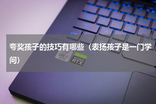 夸奖孩子的技巧有哪些（表扬孩子是一门学问）