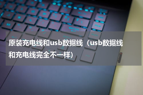 原装充电线和usb数据线（usb数据线和充电线完全不一样）