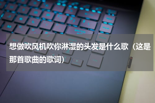 想做吹风机吹你淋湿的头发是什么歌（这是那首歌曲的歌词）