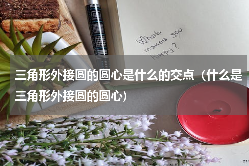 三角形外接圆的圆心是什么的交点（什么是三角形外接圆的圆心）