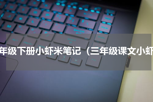 三年级下册小虾米笔记（三年级课文小虾）