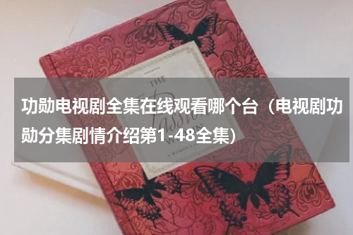 功勋电视剧全集在线观看哪个台（电视剧功勋分集剧情介绍第1-48全集）