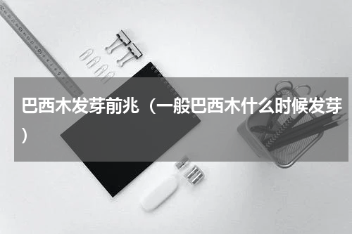 巴西木发芽前兆（一般巴西木什么时候发芽）