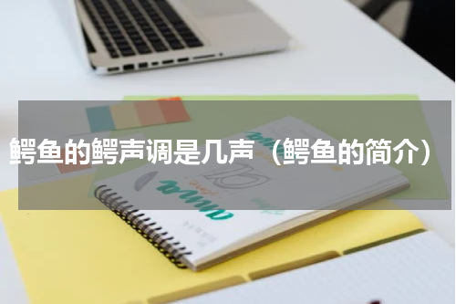 鳄鱼的鳄声调是几声（鳄鱼的简介）
