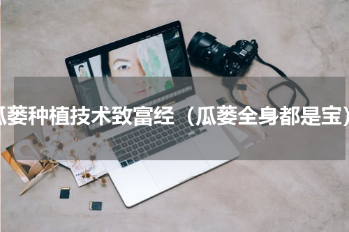 瓜蒌种植技术致富经（瓜蒌全身都是宝）