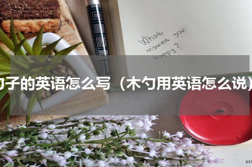勺子的英语怎么写（木勺用英语怎么说）