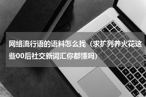 网络流行语的语料怎么找（求扩列养火花这些00后社交新词汇你都懂吗）