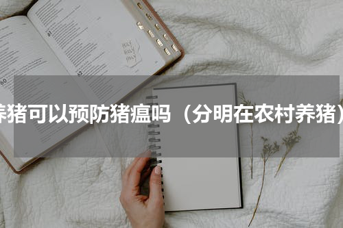 养猪可以预防猪瘟吗（分明在农村养猪）