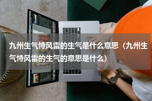 九州生气恃风雷的生气是什么意思（九州生气恃风雷的生气的意思是什么）