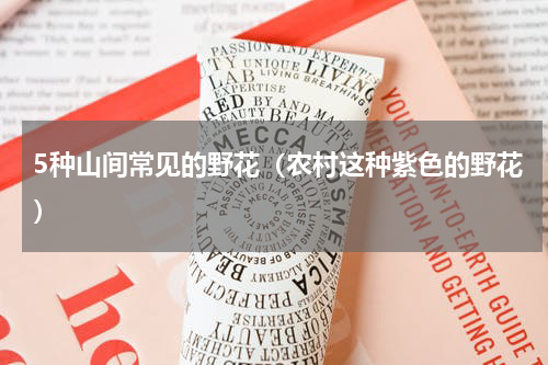 5种山间常见的野花（农村这种紫色的野花）