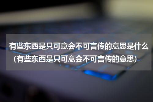 有些东西是只可意会不可言传的意思是什么（有些东西是只可意会不可言传的意思）