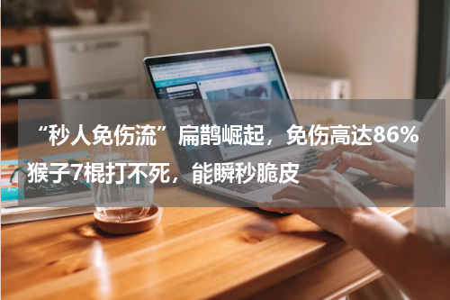 “秒人免伤流”扁鹊崛起，免伤高达86%猴子7棍打不死，能瞬秒脆皮
