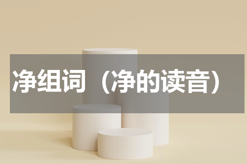 净组词（净的读音）