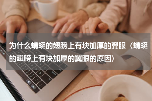 为什么蜻蜓的翅膀上有块加厚的翼眼（蜻蜓的翅膀上有块加厚的翼眼的原因）