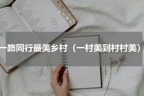 一路同行最美乡村（一村美到村村美）