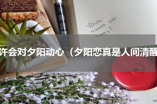 也许会对夕阳动心（夕阳恋真是人间清醒）