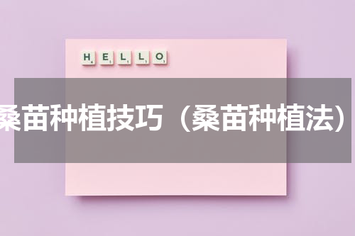 桑苗种植技巧（桑苗种植法）