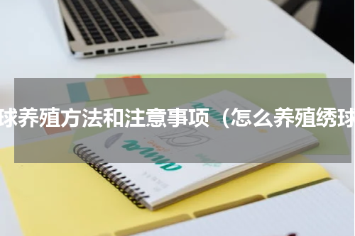 绣球养殖方法和注意事项（怎么养殖绣球）