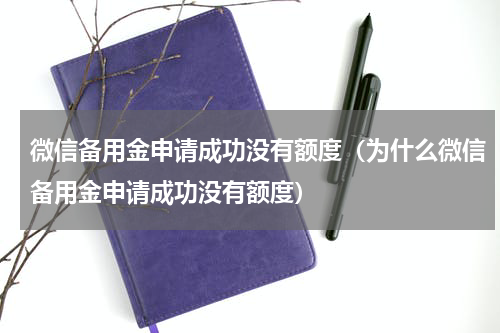 微信备用金申请成功没有额度（为什么微信备用金申请成功没有额度）