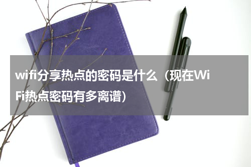 wifi分享热点的密码是什么（现在WiFi热点密码有多离谱）