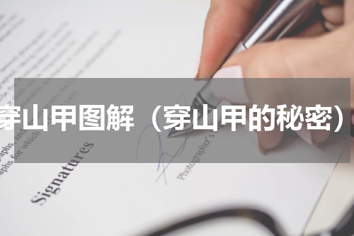 穿山甲图解（穿山甲的秘密）