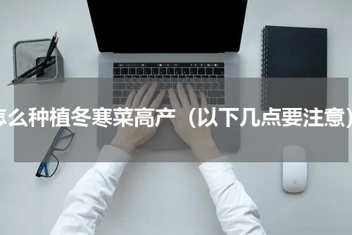 怎么种植冬寒菜高产（以下几点要注意）