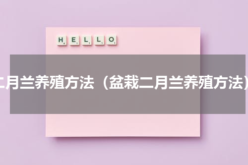 二月兰养殖方法（盆栽二月兰养殖方法）